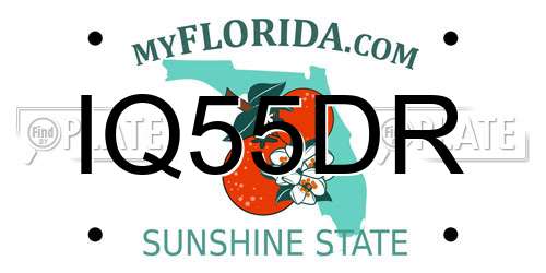 IQ55DR Florida License Plate