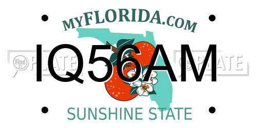 IQ56AM Florida License Plate