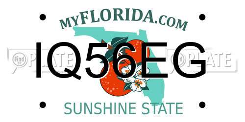 IQ56EG Florida License Plate