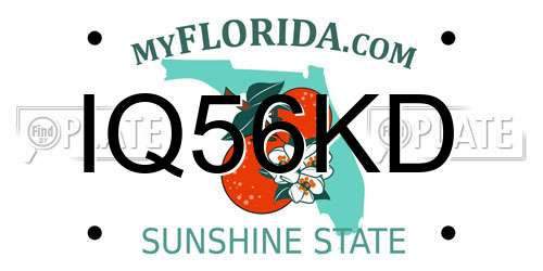 IQ56KD Florida License Plate