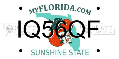 IQ56QF Florida License Plate
