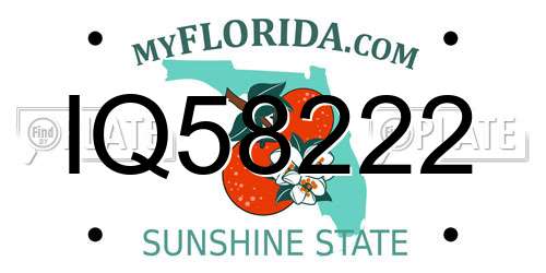 IQ58222 Florida License Plate