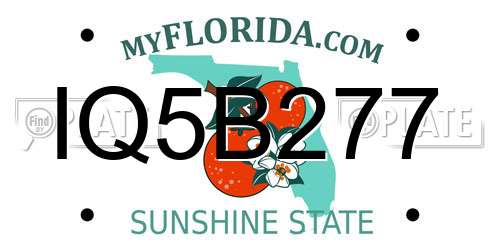 IQ5B277 Florida License Plate
