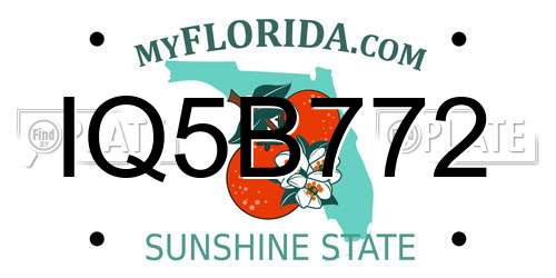 IQ5B772 Florida License Plate