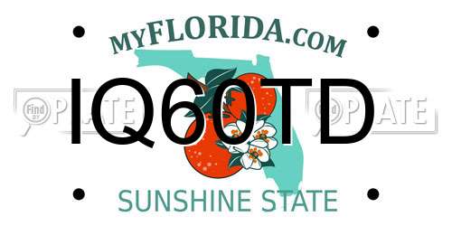 IQ60TD Florida License Plate