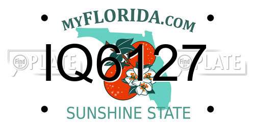 IQ6127 Florida License Plate