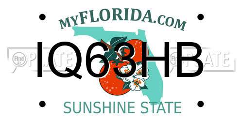IQ63HB Florida License Plate