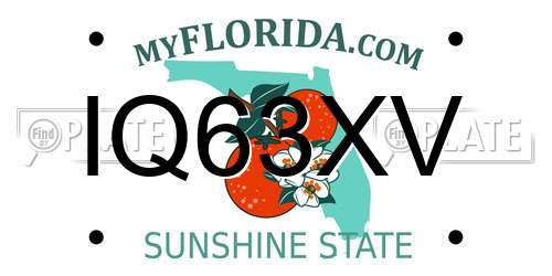 IQ63XV Florida License Plate