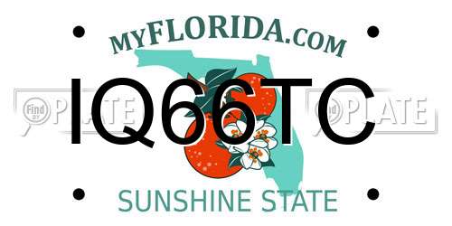 IQ66TC Florida License Plate