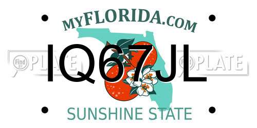 IQ67JL Florida License Plate
