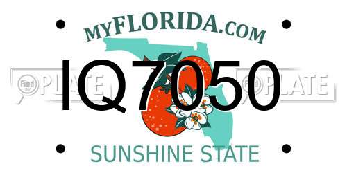 IQ7050 Florida License Plate