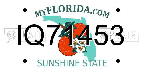 IQ71453 Florida License Plate