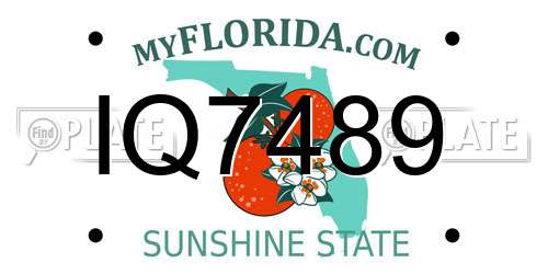 IQ7489 Florida License Plate