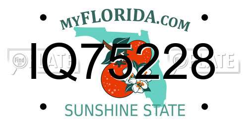 IQ75228 Florida License Plate