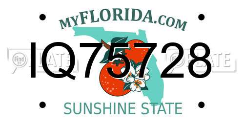 IQ75728 Florida License Plate