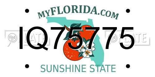 IQ75775 Florida License Plate