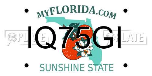 IQ75GI Florida License Plate