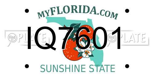IQ7601 Florida License Plate