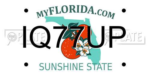 IQ77UP Florida License Plate