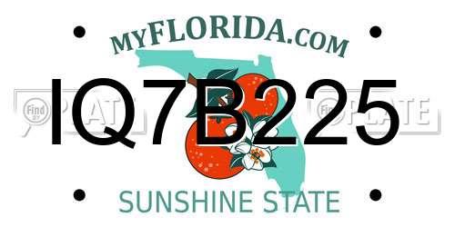 IQ7B225 Florida License Plate