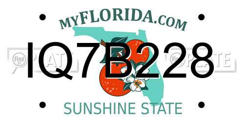 IQ7B228 Florida License Plate