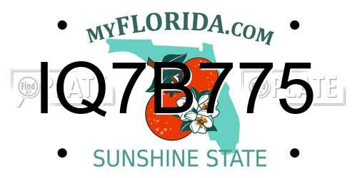 IQ7B775 Florida License Plate