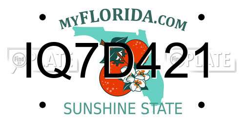IQ7D421 Florida License Plate