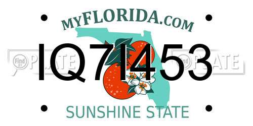 IQ7I453 Florida License Plate