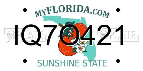 IQ7O421 Florida License Plate
