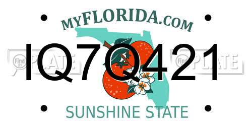 IQ7Q421 Florida License Plate