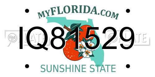 IQ81529 Florida License Plate
