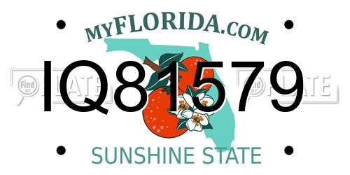 IQ81579 Florida License Plate