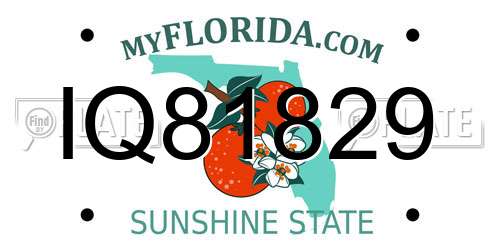 IQ81829 Florida License Plate