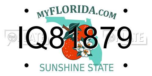IQ81879 Florida License Plate