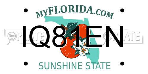 IQ81EN Florida License Plate