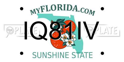 IQ81IV Florida License Plate