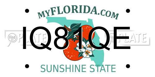 IQ81QE Florida License Plate