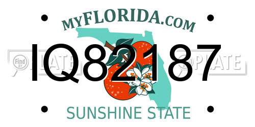 IQ82187 Florida License Plate