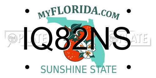 IQ82NS Florida License Plate