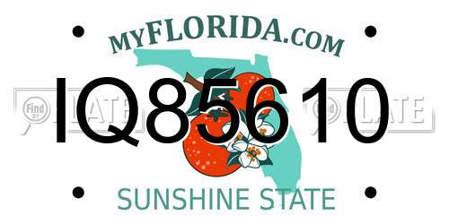 IQ85610 Florida License Plate