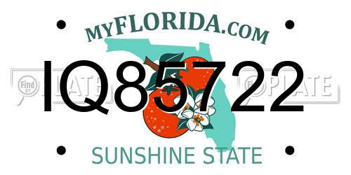 IQ85722 Florida License Plate