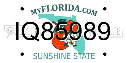 IQ85989 Florida License Plate