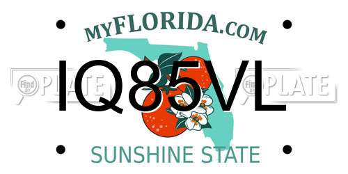 IQ85VL Florida License Plate