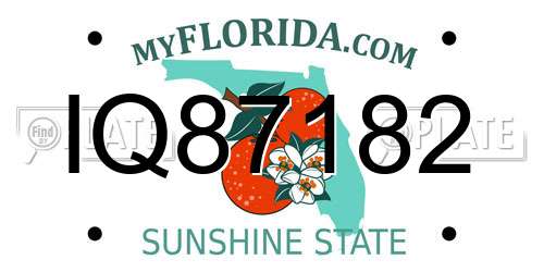 IQ87182 Florida License Plate
