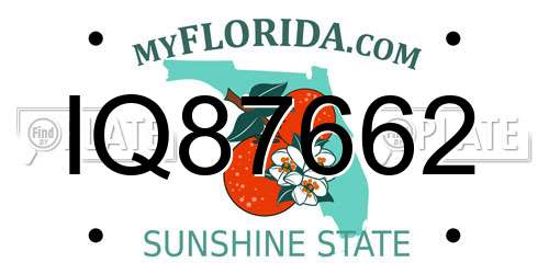 IQ87662 Florida License Plate