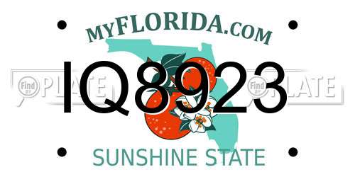 IQ8923 Florida License Plate