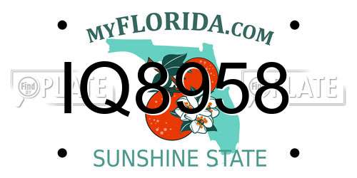 IQ8958 Florida License Plate