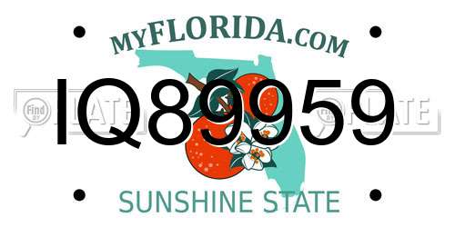 IQ89959 Florida License Plate