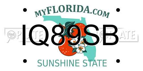 IQ89SB Florida License Plate