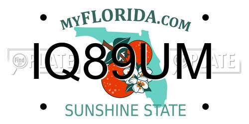 IQ89UM Florida License Plate